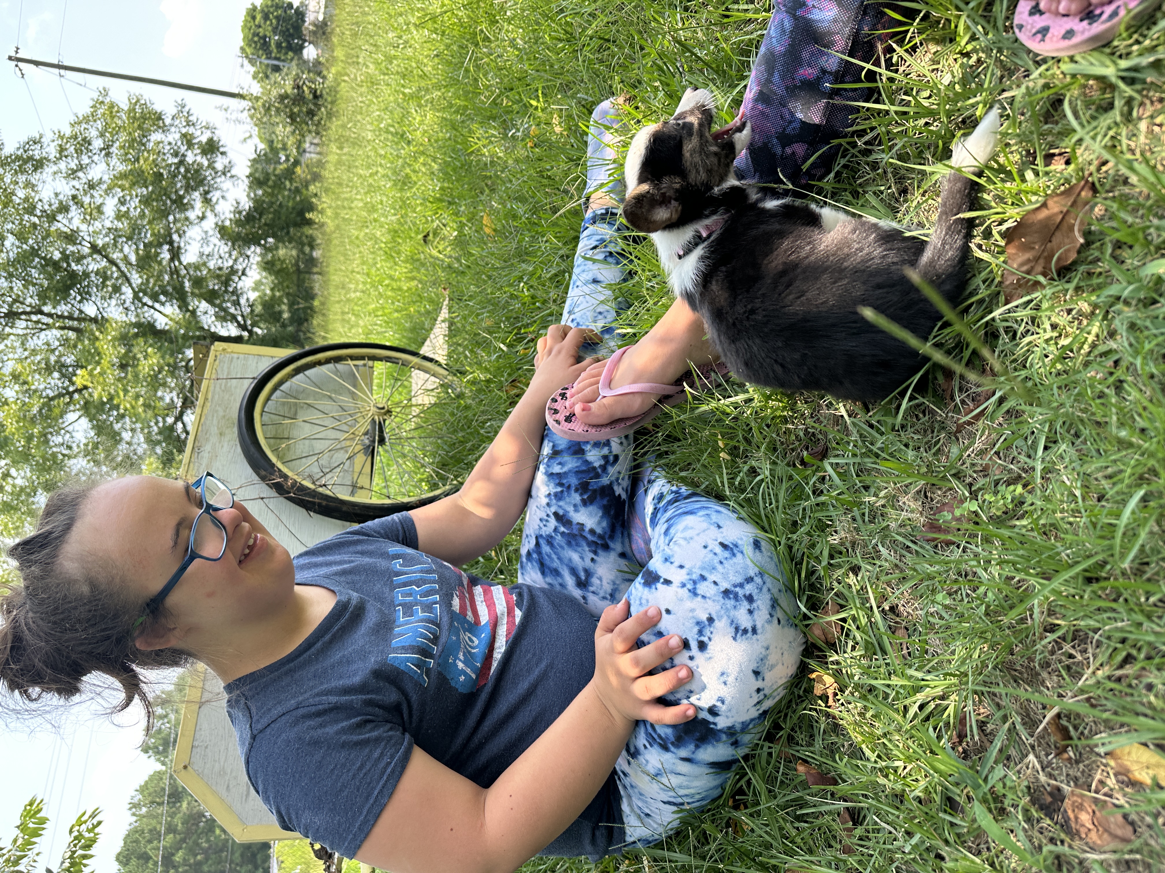 Puppies