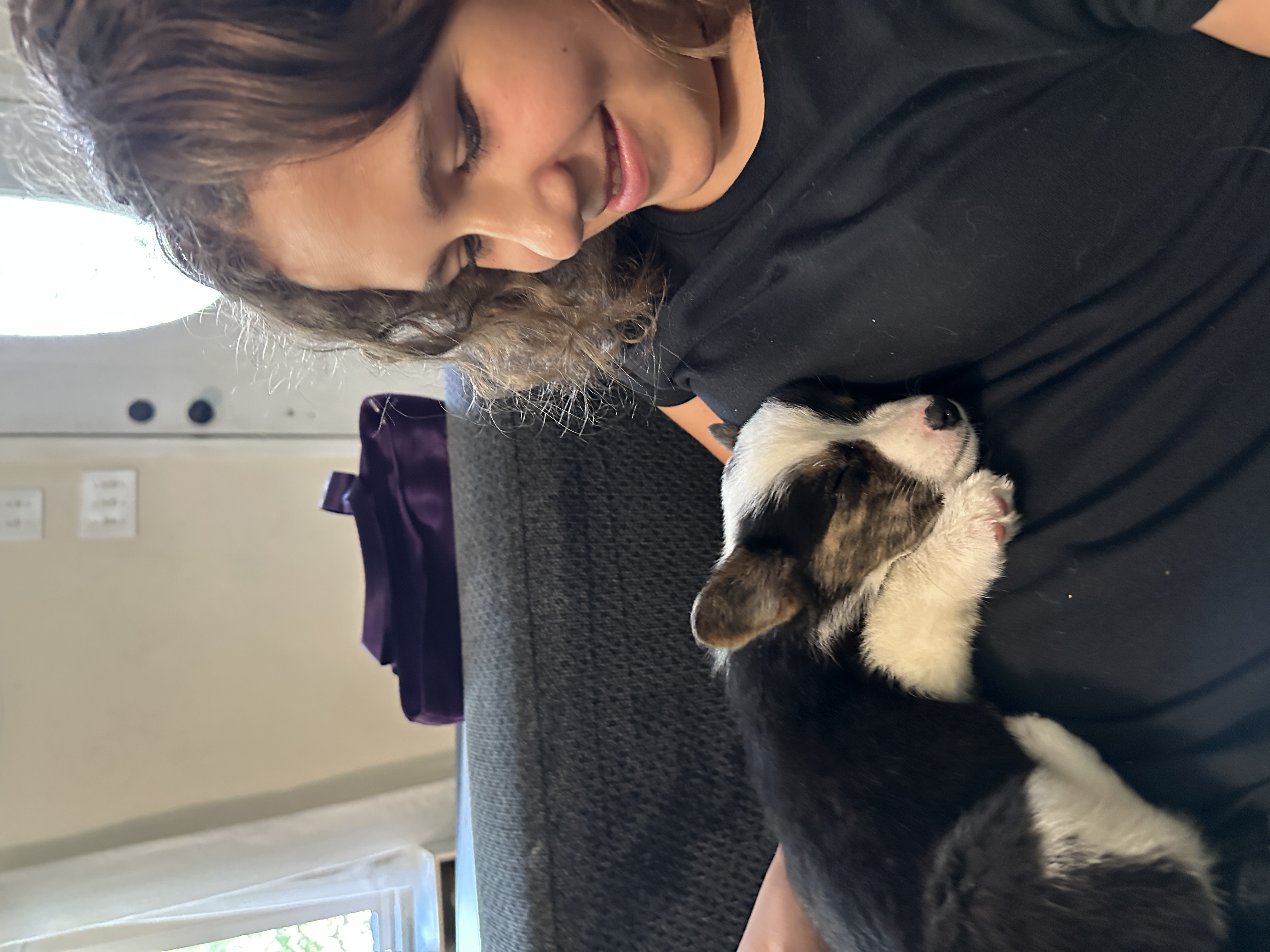 Puppies