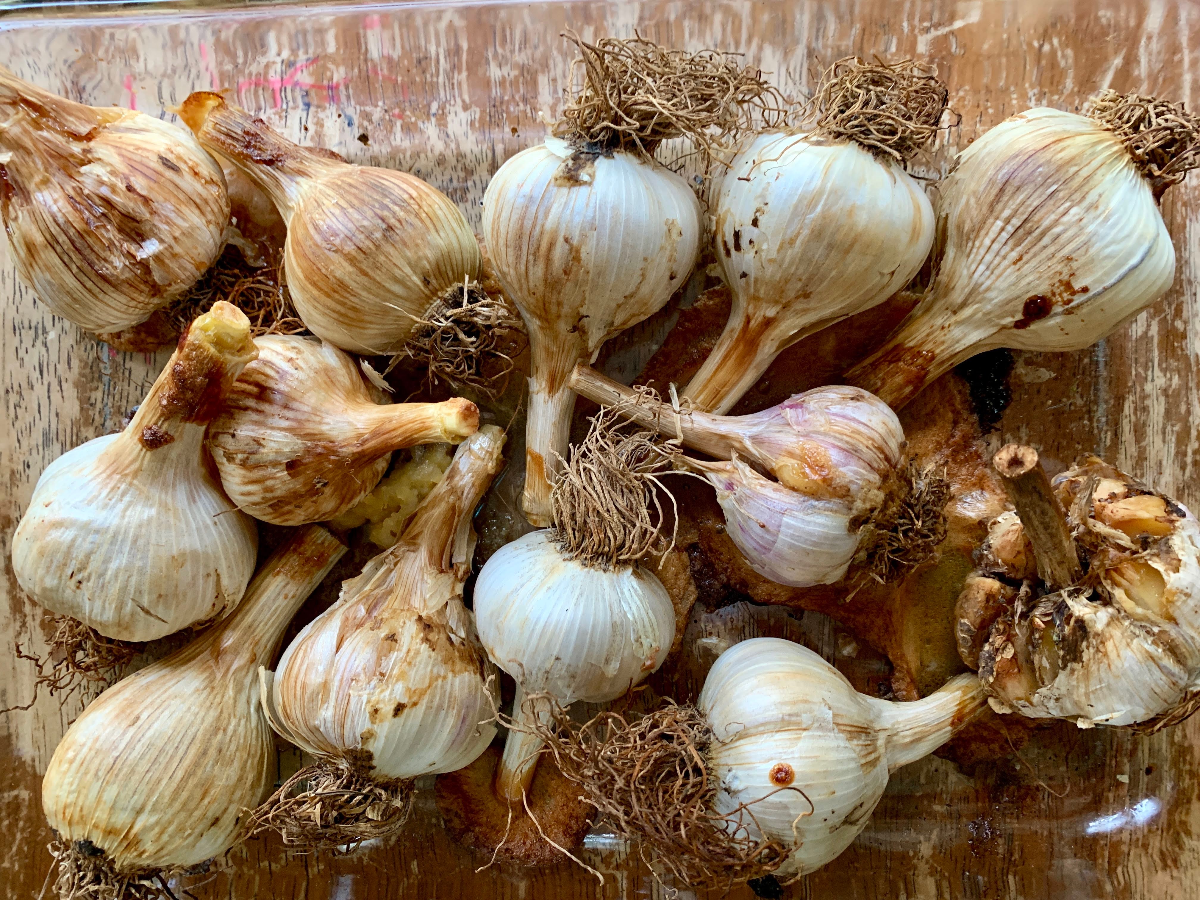 garlic